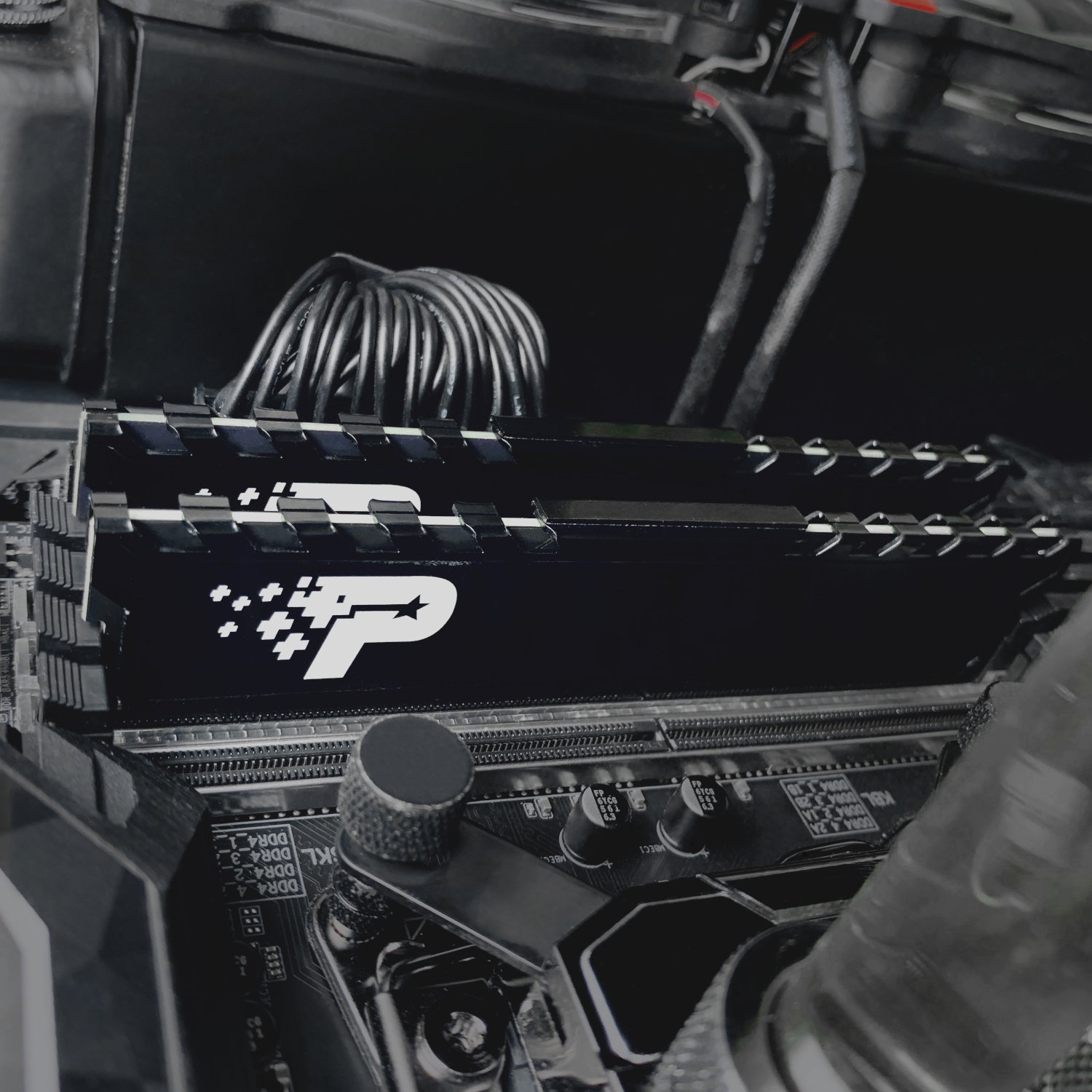 Patriot Signature Premium Line DDR4 16GB 3200MHz UDIMM - Image 5